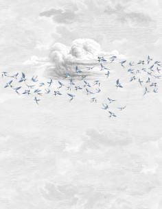 copy of Swallow Cloud... 2