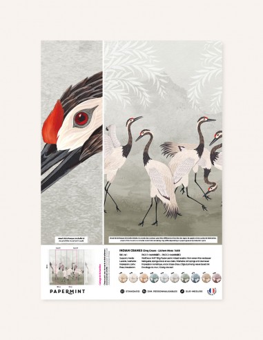 Indian Cranes - Échantillon
