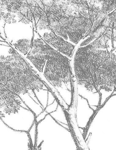 Pineta Marzini - Samples