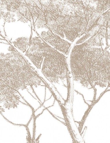 Pineta Marzini - Samples