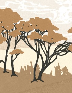 Au Bord de l'Eau •...