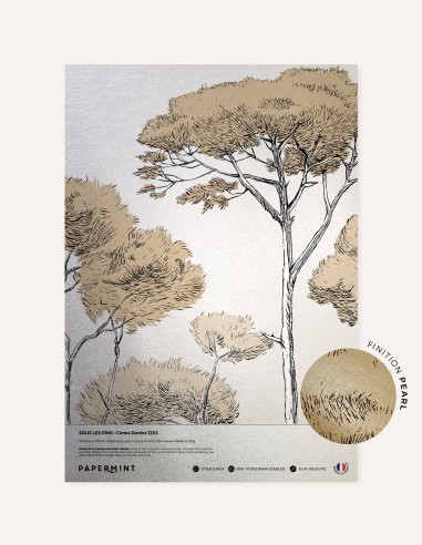 Samples WallDecor PEARL A4