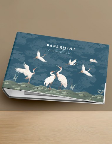 copy of Classeur Fresques Pack - Origins