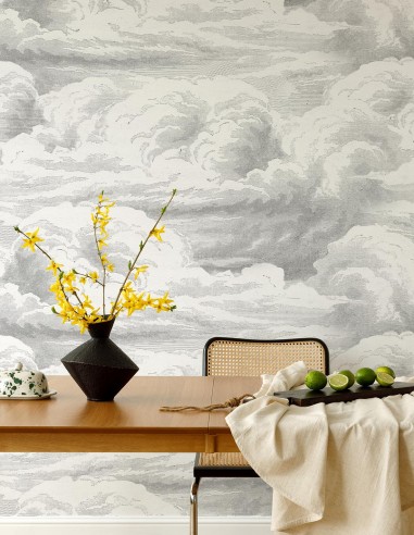 Vintage Clouds • Wallpanel Pack