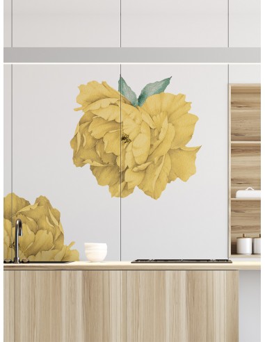 Paeonia - Grands stickers