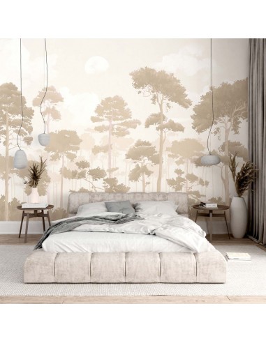 Pinewood  - Fresque Pack 1 & 2 L300 x...
