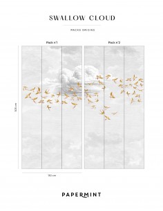 copy of Swallow Cloud...