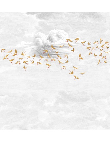 Swallow Cloud Ambre Royale Wallpanel...