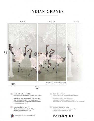 Indian Cranes • Fresque Pack