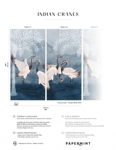 Indian Cranes • Fresque Pack