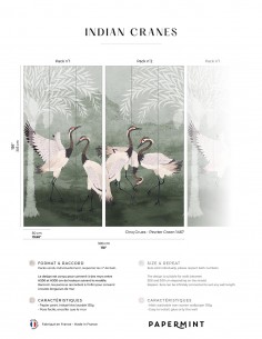 Indian Cranes • Fresque...