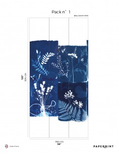 Cyanotype Fleurs des Champs...