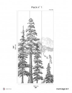 Montagne - Fresque Pack...