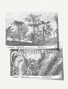 Palmeraie - Sample