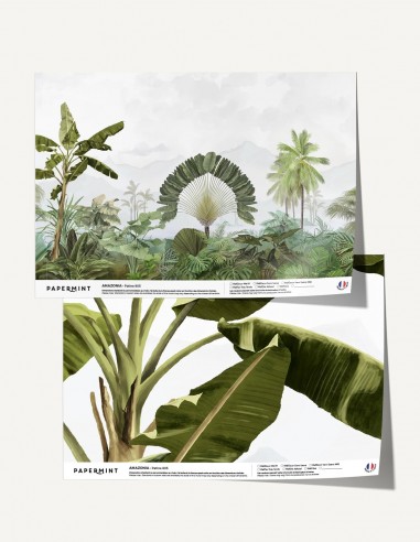 Amazonia - Échantillon