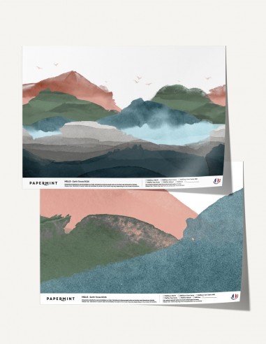 copy of