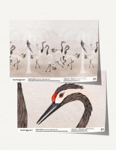 Indian Cranes - Échantillon...