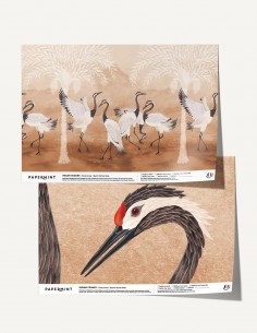 Indian Cranes - Échantillon...