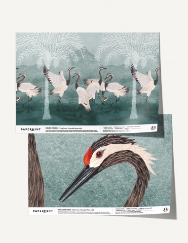 Indian Cranes - Samples