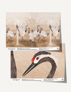 Indian Cranes - Échantillon