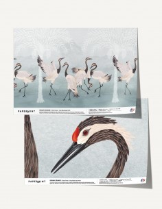 Indian Cranes - Échantillon...