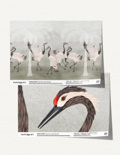 Indian Cranes - Échantillon...