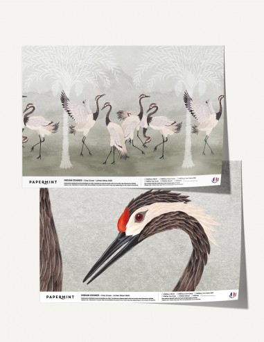 Indian Cranes - Échantillon