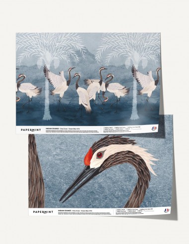 Indian Cranes - Échantillon