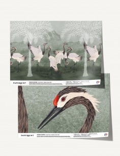 Indian Cranes - Samples -...