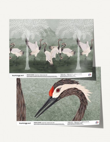 Indian Cranes - Samples