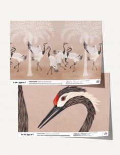 Indian Cranes - Samples -...