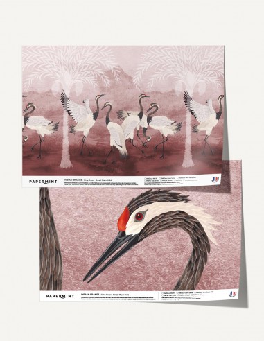 Indian Cranes - Samples