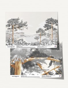 Quiberon - Échantillon