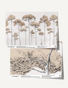 copy of Côte Sauvage -...