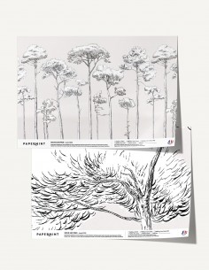 Sous Les Pins - Sample -...
