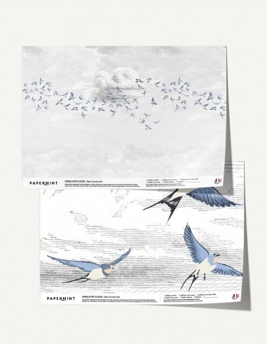 copy of