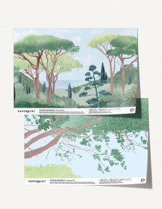 copy of