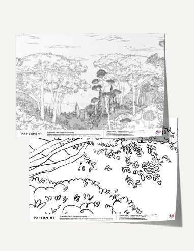 copy of