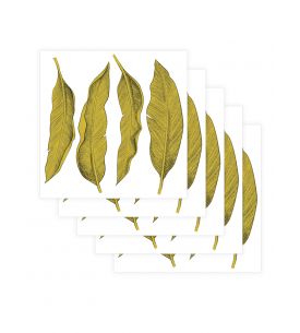Leaf - Set de 5 planches