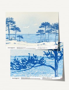 copy of Pineta Marzini -...