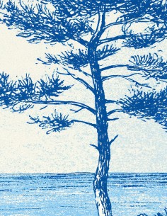 Belle-Île • Fresque Pack 2