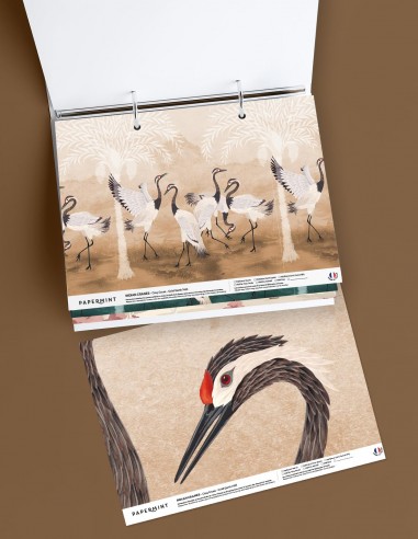 copy of Classeur Fresques Pack - Origins