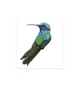 Colibri - Grands Stickers 