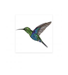 Colibri - Grands Stickers 