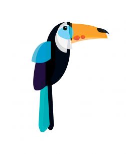 Toucan - Grand sticker