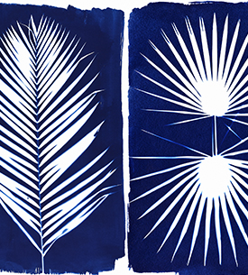 Cyanotype